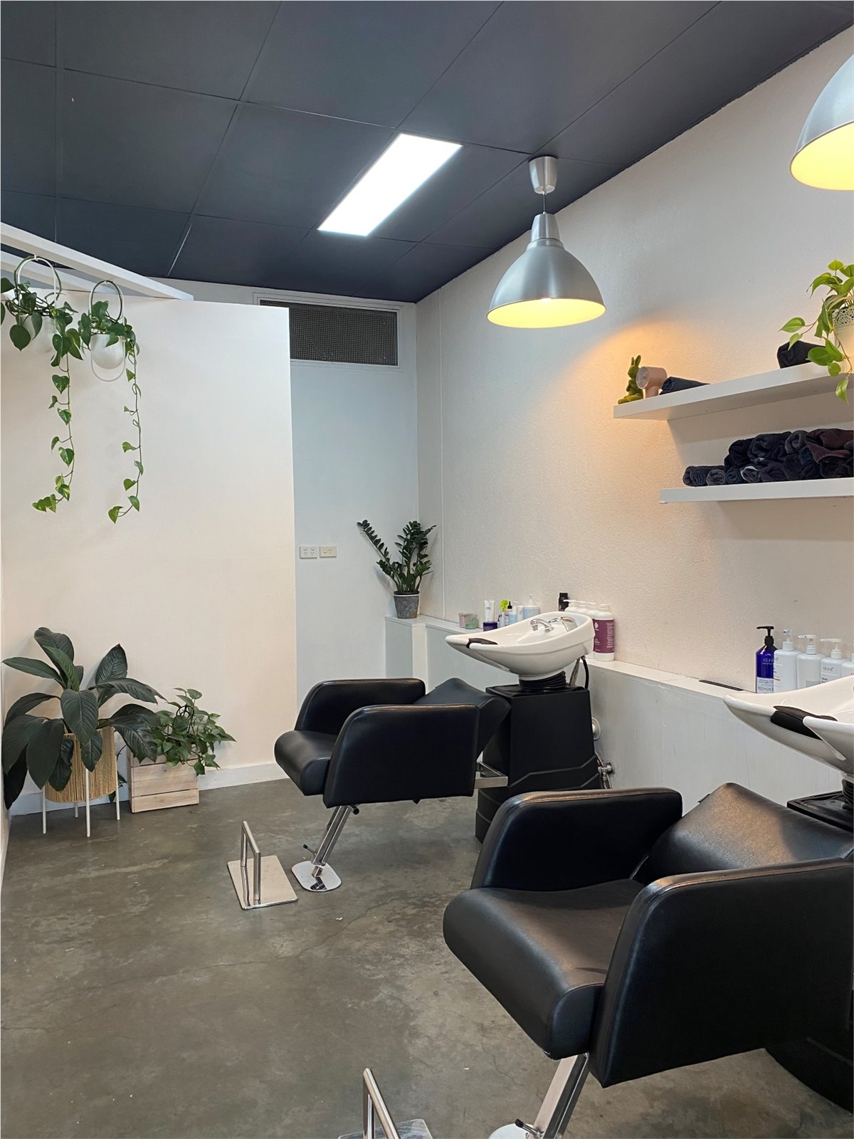 Wash basins and greenery inside Casy Hair Richmond